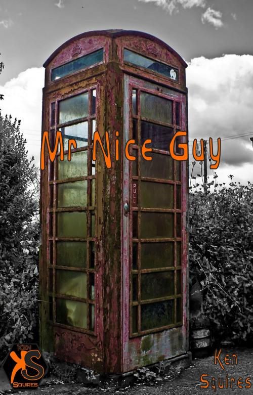 Cover of the book Mr Nice Guy by Ken Squires, Ken Squires Publishing