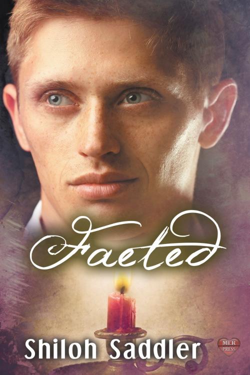 Cover of the book Faeted by Shiloh Saddler, MLR Press