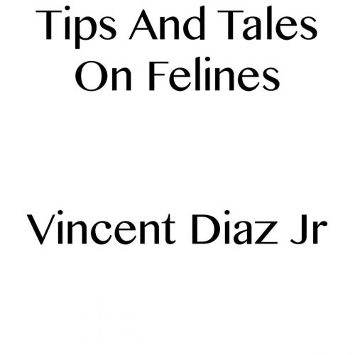 Cover of the book Tips And Tales On Felines by Vincent Diaz, Vincent Diaz