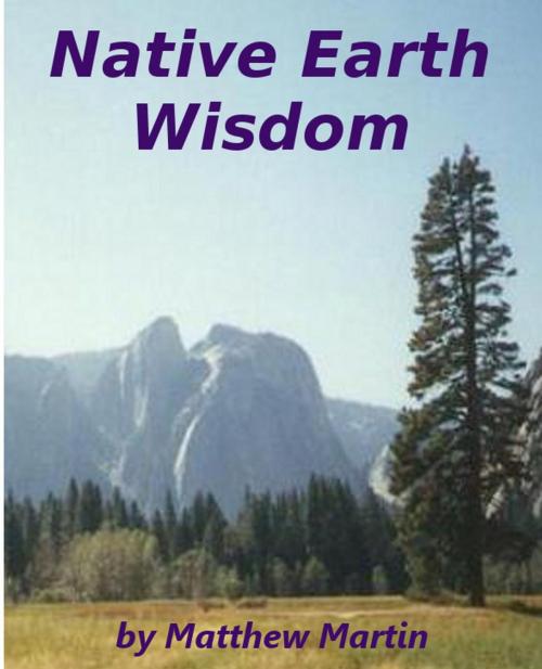 Cover of the book Native Earth Wisdom by Matthew Martin, Matthew Martin