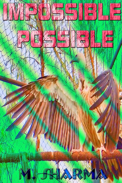 Cover of the book Impossible Possible by M. Sharma, mds0