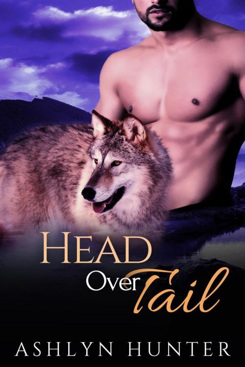Cover of the book Head Over Tail by Ashlyn Hunter, Ashlyn Hunter