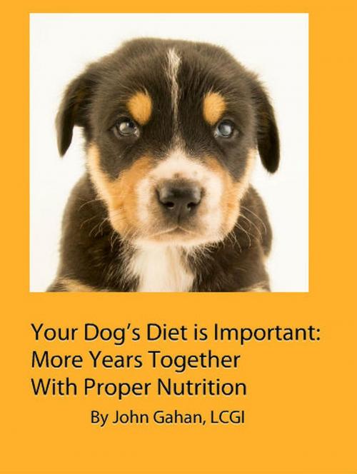 Cover of the book Your Dog’s Diet is Important: More Years Together With Proper Nutrition by John Gahan, LCGI, Sepharial