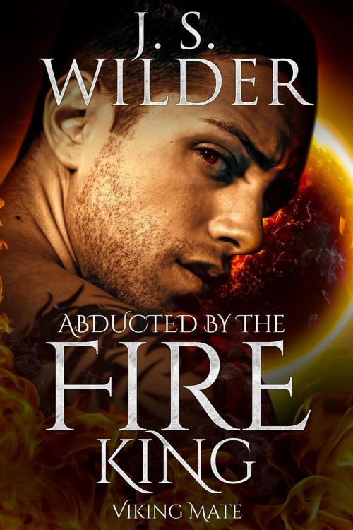 Cover of the book Abducted By The Fire King by J. S. Wilder, J. S. Wilder