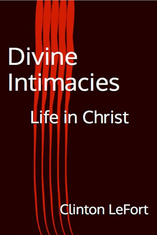Cover of the book Divine Intimacies by Clinton R. LeFort, Clinton LeFort