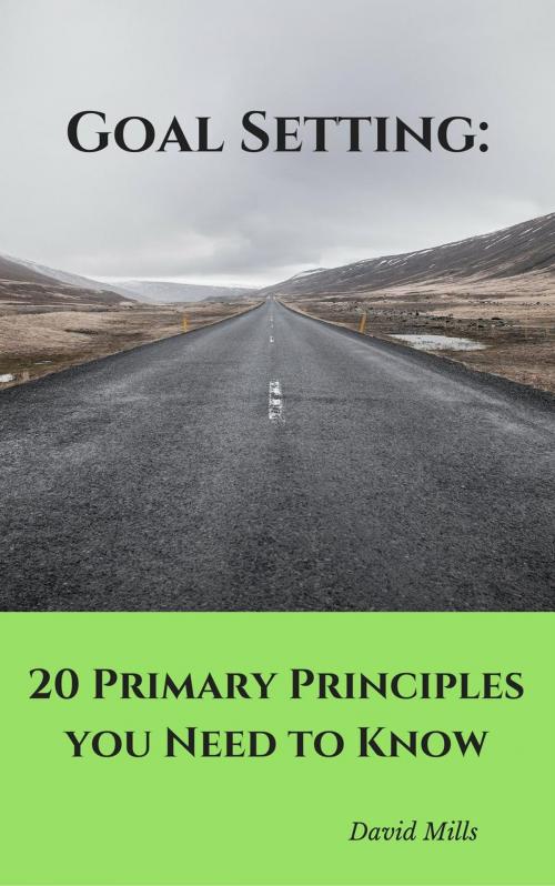 Cover of the book Goal Setting: 20 Primary Principles you Need to Know by David Mills, David Mills