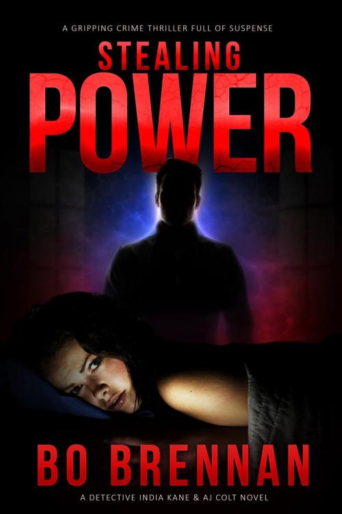 Cover of the book Stealing Power by Bo Brennan, Bo Brennan