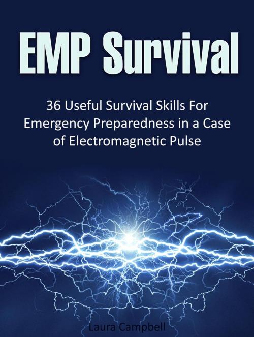 Cover of the book Emp Survival: 36 Useful Survival Skills For Emergency Preparedness in a Case of Electromagnetic Pulse by Laura Campbell, Jet Solutions