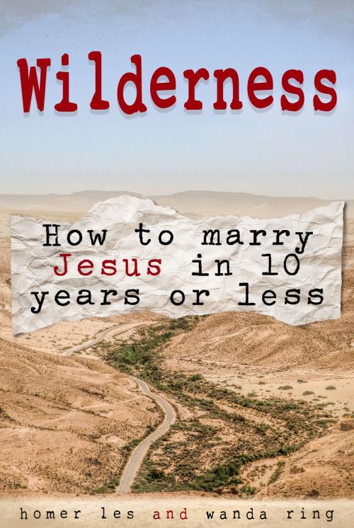 Cover of the book Wilderness: How to Marry Jesus in 10 Years or Less by Homer Les, Wanda Ring, Homer Les