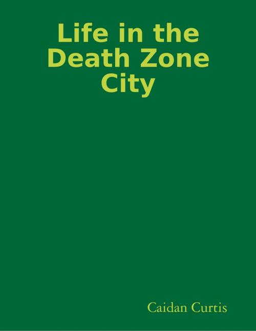 Cover of the book Life In The Death Zone City by Caidan Curtis, Lulu.com
