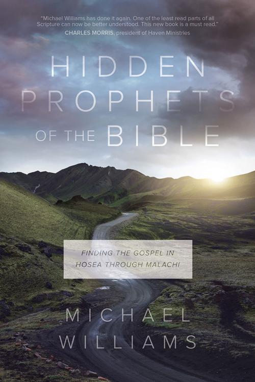 Cover of the book Hidden Prophets of the Bible by Michael Williams, David C Cook