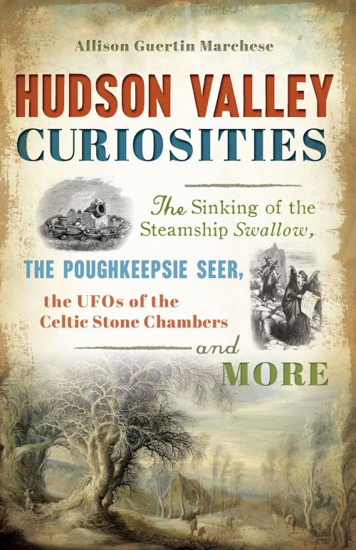 Cover of the book Hudson Valley Curiosities by Allison Guertin Marchese, Arcadia Publishing Inc.