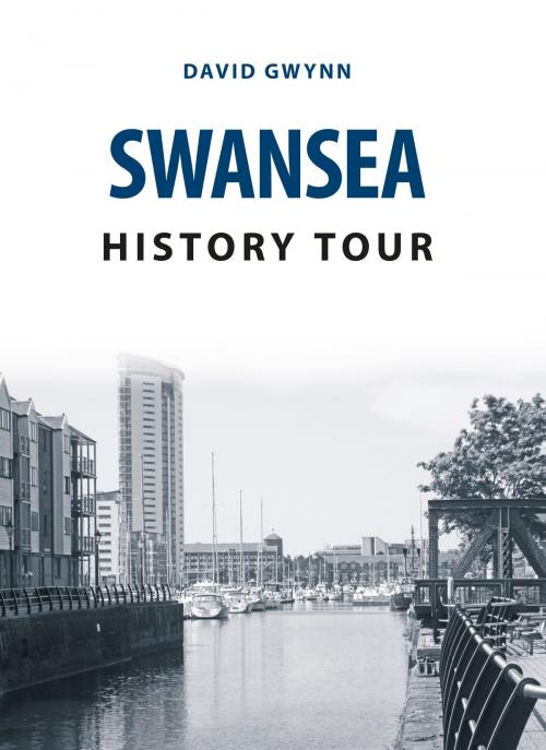 Cover of the book Swansea History Tour by David Gwynn, Amberley Publishing