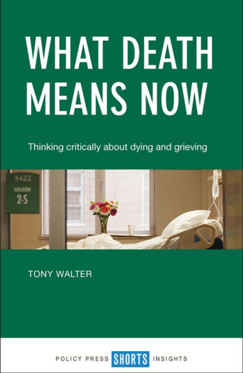 Cover of the book What death means now by Walter, Tony, Policy Press