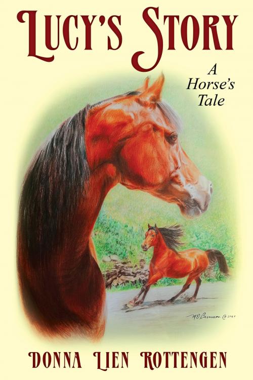 Cover of the book Lucy's Story: A Horse's Tale by Donna Lien Rottengen, Dog Ear Publishing