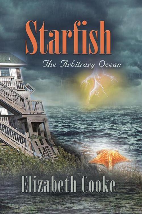 Cover of the book Starfish by Elizabeth Cooke, Abbott Press