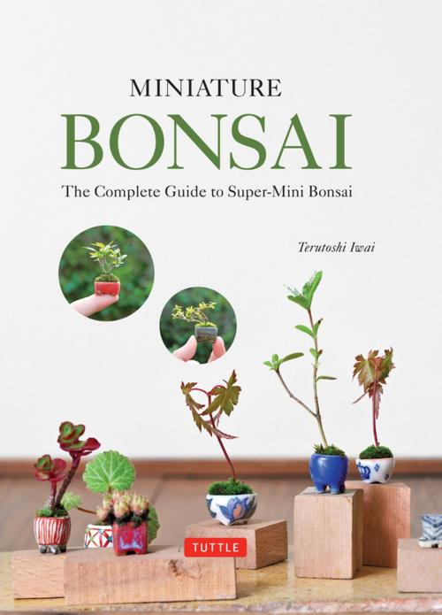 Cover of the book Miniature Bonsai by Terutoshi Iwai, Tuttle Publishing