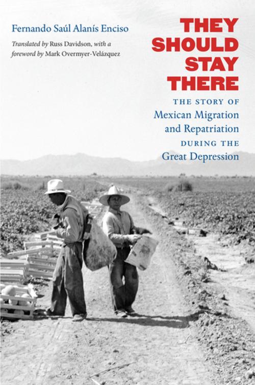 Cover of the book They Should Stay There by Fernando Saúl Alanís Enciso, The University of North Carolina Press