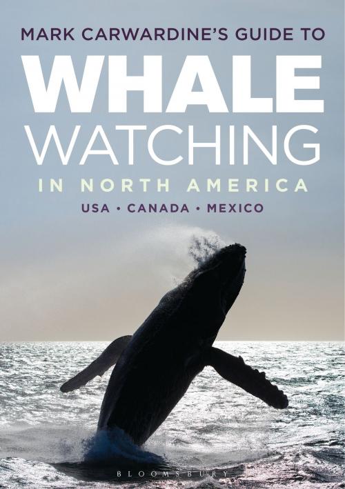 Cover of the book Mark Carwardine's Guide to Whale Watching in North America by Mark Carwardine, Bloomsbury Publishing