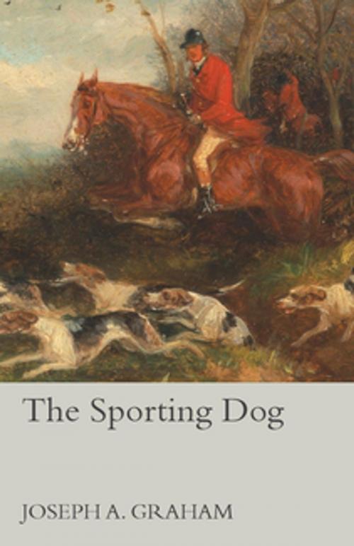 Cover of the book The Sporting Dog by Joseph A. Graham, Read Books Ltd.