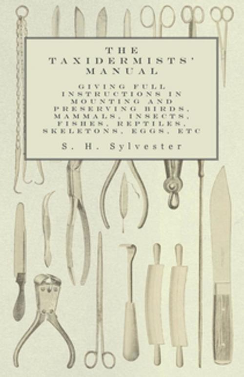 Cover of the book The Taxidermists' Manual - Giving Full Instructions in Mounting and Preserving Birds, Mammals, Insects, Fishes, Reptiles, Skeletons, Eggs, Etc by S. H. Sylvester, Read Books Ltd.