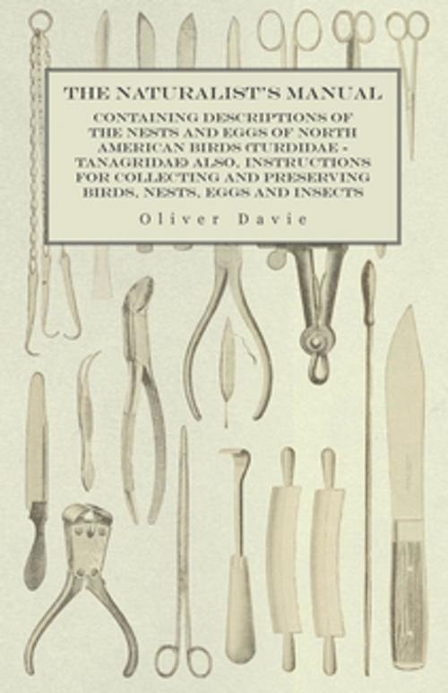 Cover of the book The Naturalist's Manual - Containing Descriptions of the Nests and Eggs of North American Birds (Turdidae - Tanagridae) also, Instructions for Collecting and Preserving Birds, Nests, Eggs and Insects by Oliver Davie, Read Books Ltd.