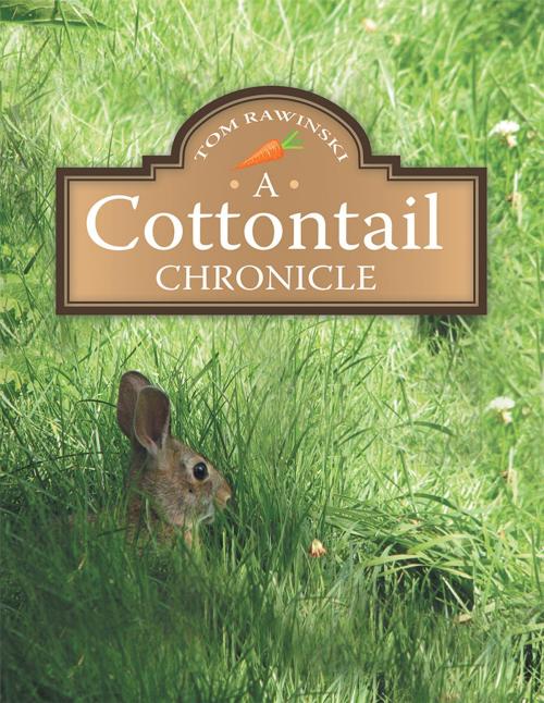 Cover of the book A Cottontail Chronicle by Tom Rawinski, Archway Publishing