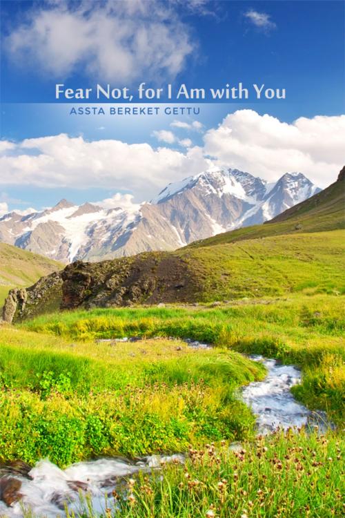 Cover of the book Fear Not, for I Am with You by Assta Bereket Gettu, Dorrance Publishing