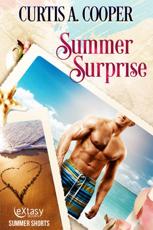 Cover of the book Summer Surprise by Curtis A. Cooper, eXtasy Books Inc