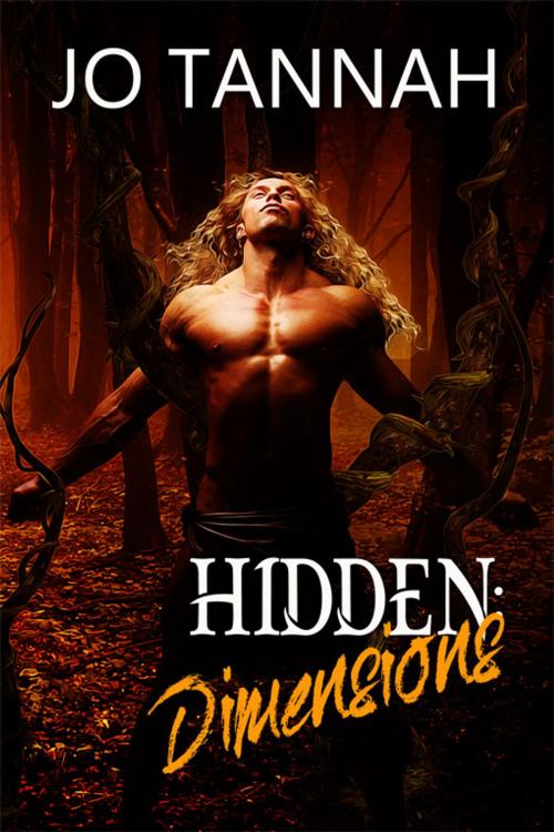 Cover of the book Hidden: Dimensions by Jo Tannah, eXtasy Books Inc