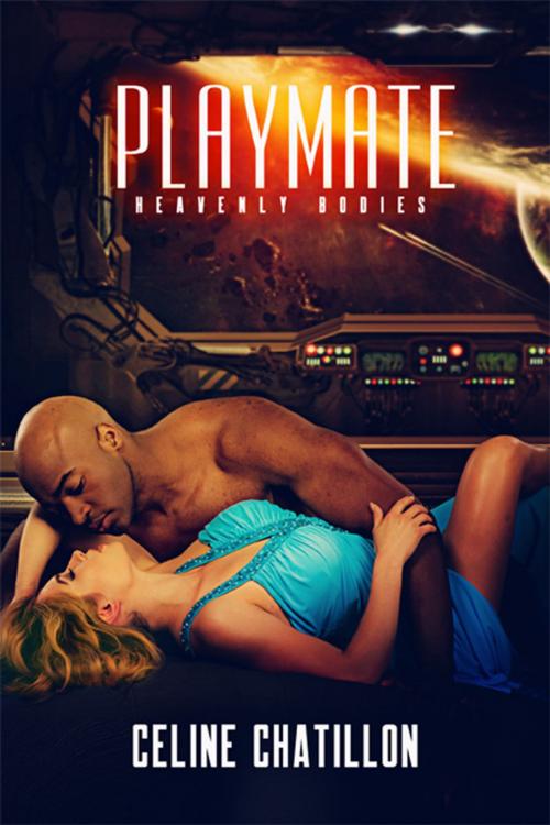 Cover of the book PlayMate by Celine Chatillon, eXtasy Books Inc
