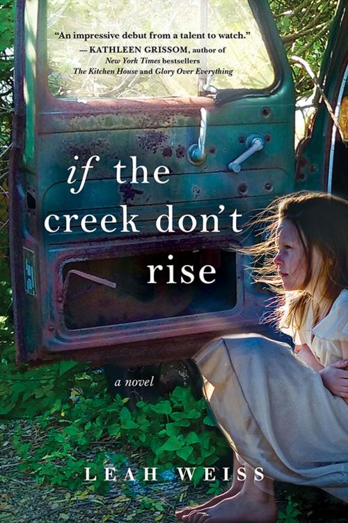 Cover of the book If the Creek Don't Rise by Leah Weiss, Sourcebooks