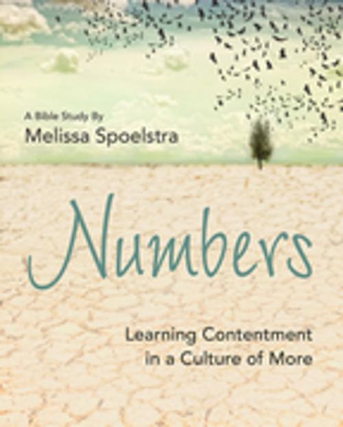 Cover of the book Numbers - Women's Bible Study Participant Workbook by Melissa Spoelstra, Abingdon Press