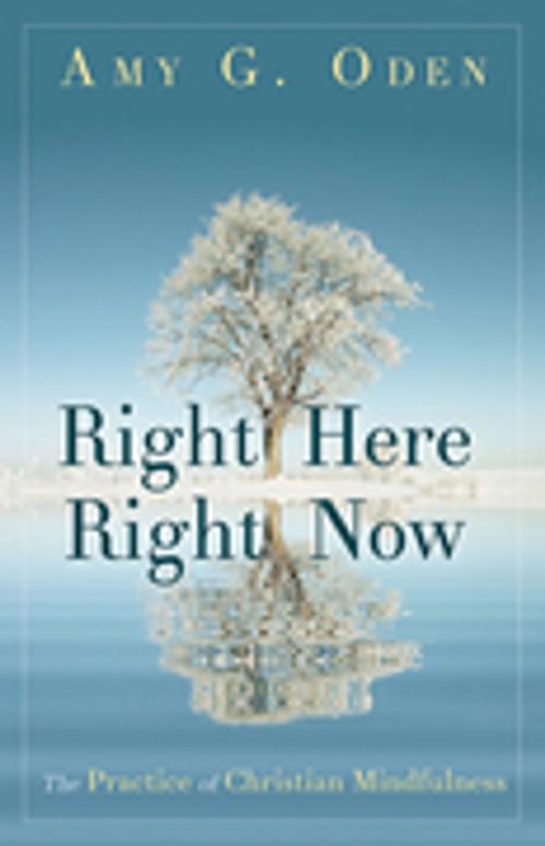 Cover of the book Right Here Right Now by Amy G. Oden, Abingdon Press