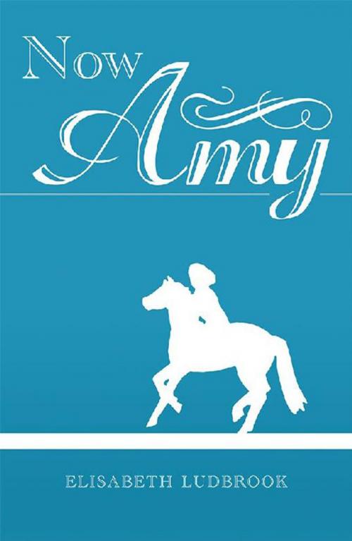 Cover of the book Now Amy by Elisabeth Ludbrook, Balboa Press AU
