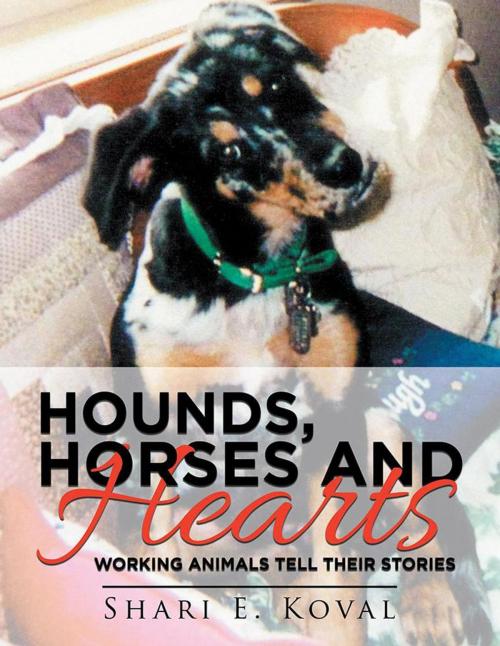 Cover of the book Hounds, Horses and Hearts by Shari E. Koval, Balboa Press