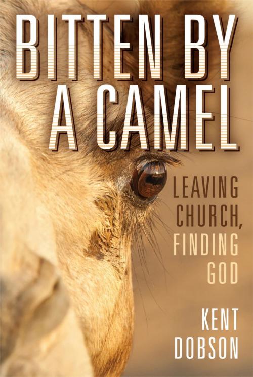 Cover of the book Bitten by a Camel by Kent Dobson, Fortress Press