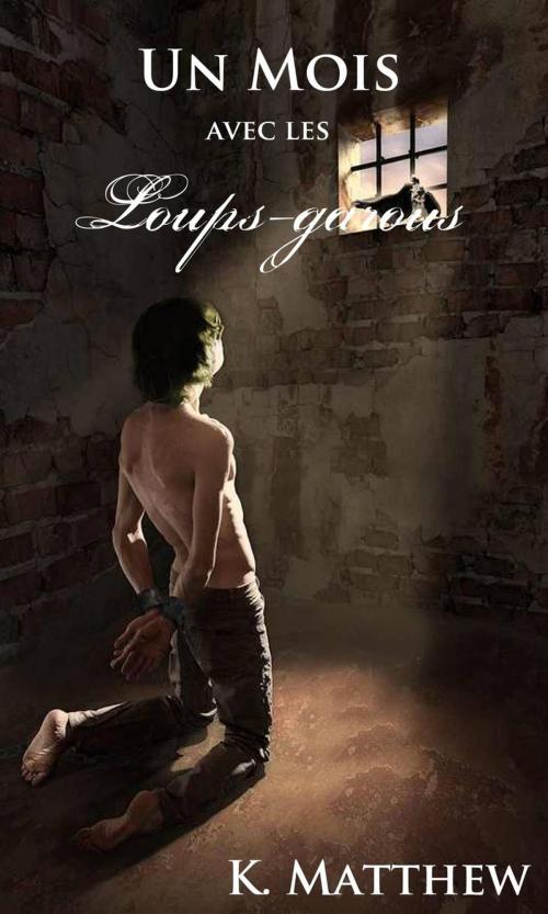 Cover of the book Un Mois avec les Loups-garous by K. Matthew, Babelcube Inc.