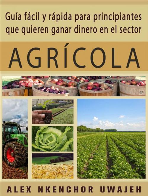 Cover of the book Guía Fácil Y Rápida Para Principiantes Que Quieren Ganar Dinero En El Sector Agrícola by Alex Nkenchor Uwajeh, Babelcube Inc.