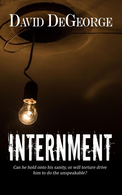 Cover of the book Internment by David  DeGeorge, The Wild Rose Press, Inc.