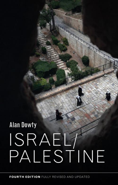 Cover of the book Israel / Palestine by Alan Dowty, Wiley