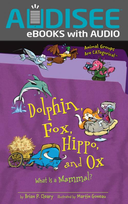 Cover of the book Dolphin, Fox, Hippo, and Ox by Brian P. Cleary, Lerner Publishing Group