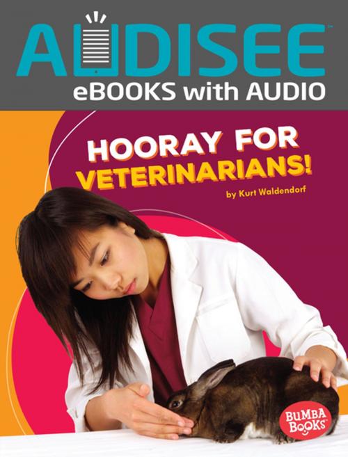 Cover of the book Hooray for Veterinarians! by Kurt Waldendorf, Lerner Publishing Group