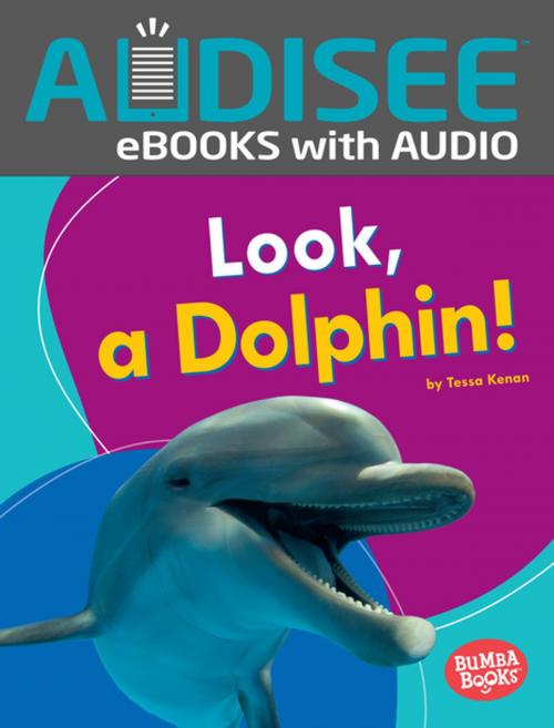 Cover of the book Look, a Dolphin! by Tessa Kenan, Lerner Publishing Group