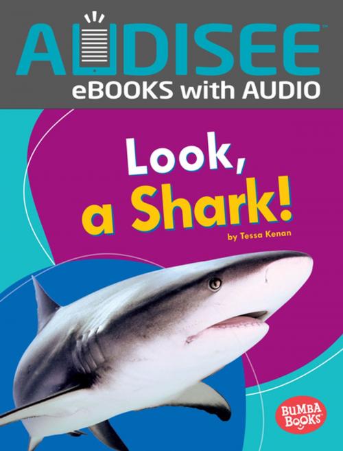 Cover of the book Look, a Shark! by Tessa Kenan, Lerner Publishing Group