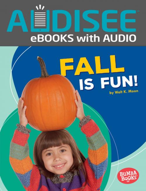 Cover of the book Fall Is Fun! by Walt K. Moon, Lerner Publishing Group