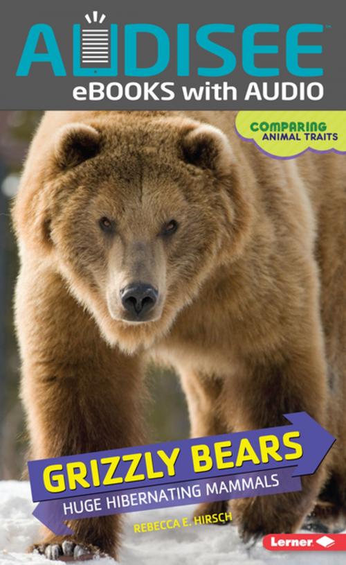 Cover of the book Grizzly Bears by Rebecca E. Hirsch, Lerner Publishing Group