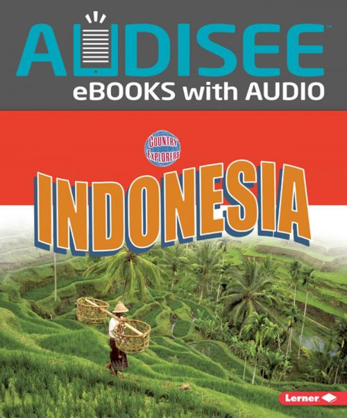 Cover of the book Indonesia by Robin Lim, Lerner Publishing Group