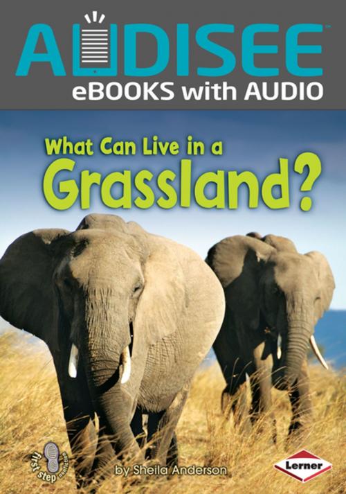 Cover of the book What Can Live in a Grassland? by Sheila Anderson, Lerner Publishing Group