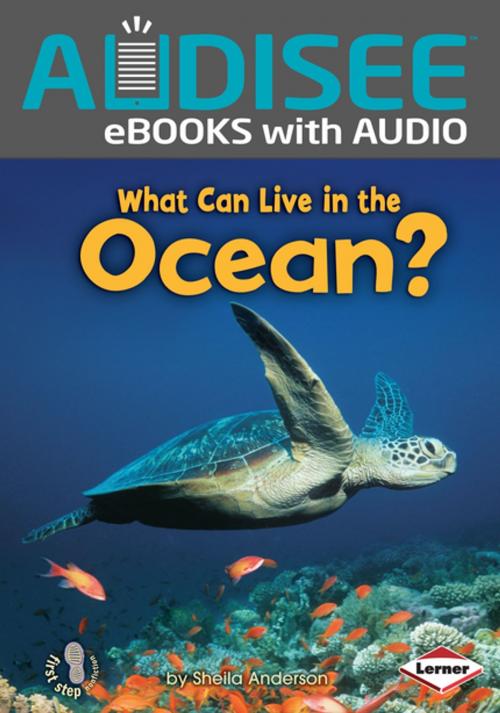 Cover of the book What Can Live in the Ocean? by Sheila Anderson, Lerner Publishing Group